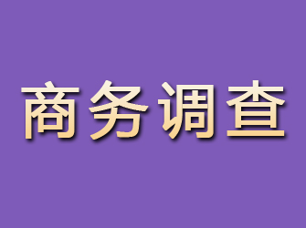 怀集商务调查